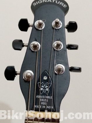 Signature model265 guitar